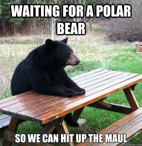 Waiting for a polar bear  so we can hit up the maul  