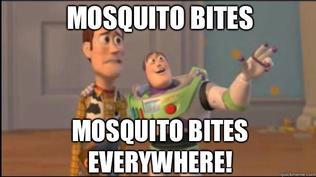 Mosquito bites Mosquito bites everywhere! - Mosquito bites Mosquito bites everywhere!  Buzz and Woody