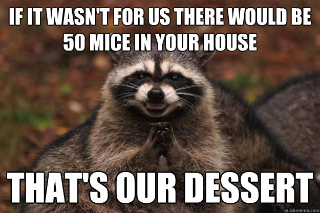 if it wasn't for us there would be 50 mice in your house that's our dessert  Evil Plotting Raccoon