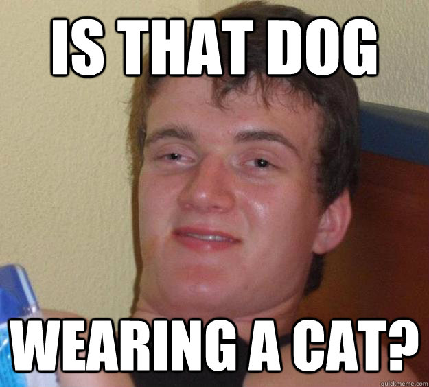 Is that dog wearing a cat?  10 Guy