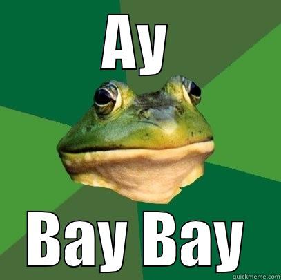 AY BAY BAY Foul Bachelor Frog