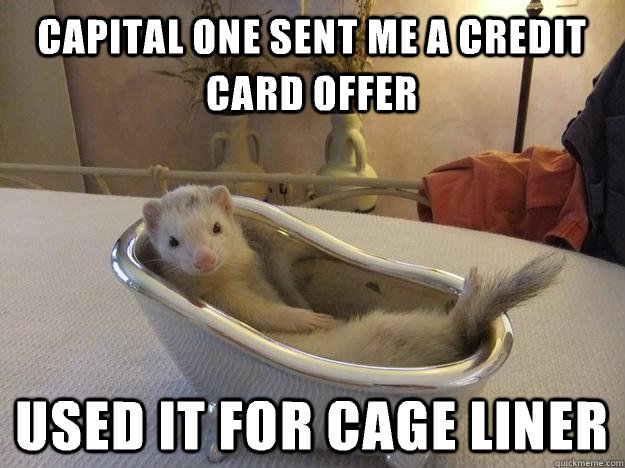 Capital one sent me a credit card offer Used it for cage liner  Fine-living Ferret