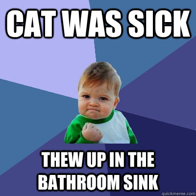 Cat was sick Thew up in the bathroom sink - Cat was sick Thew up in the bathroom sink  Success Kid