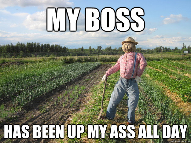 my boss has been up my ass all day  Scarecrow