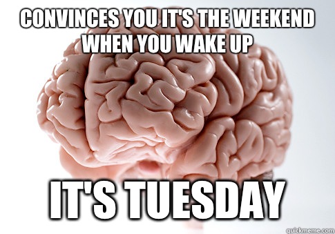 Convinces you it's the weekend when you wake up It's Tuesday - Convinces you it's the weekend when you wake up It's Tuesday  Scumbag Brain