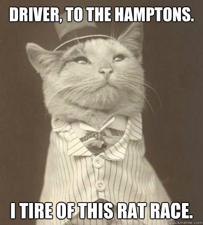 Driver, To the Hamptons. I tire of this rat race.  Aristocat