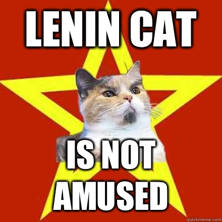 Lenin cat Is not amused  Lenin Cat