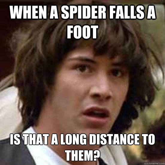 When a spider falls a foot is that a long distance to them?  Conspiracy Keanu Snow