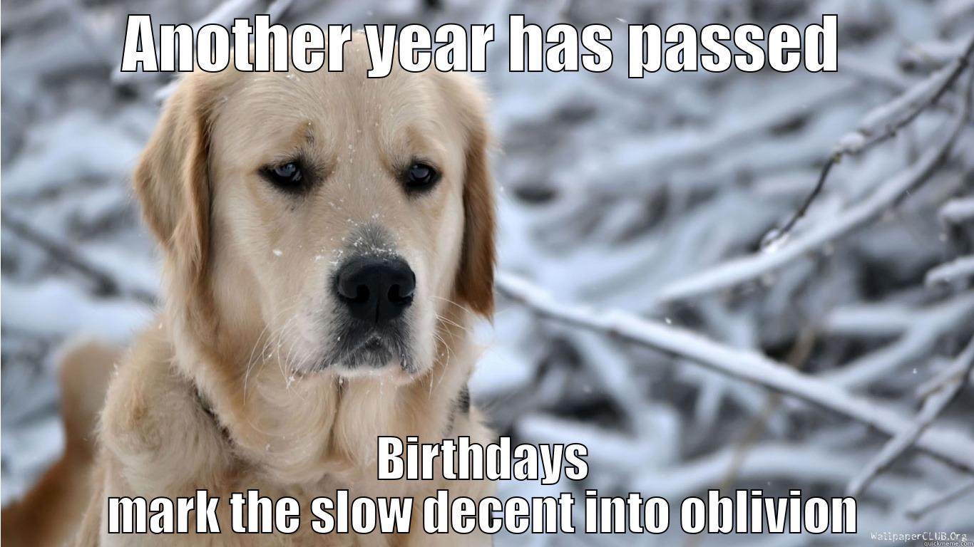 depressing birthday - ANOTHER YEAR HAS PASSED BIRTHDAYS MARK THE SLOW DECENT INTO OBLIVION Misc