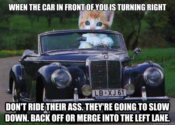 when the car in front of you is turning right don't ride their ass. They're going to slow down. Back off or merge into the left lane.  - when the car in front of you is turning right don't ride their ass. They're going to slow down. Back off or merge into the left lane.   Driving Advice Kitten