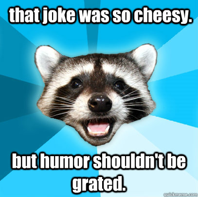  that joke was so cheesy. but humor shouldn't be grated.  Lame Pun Coon