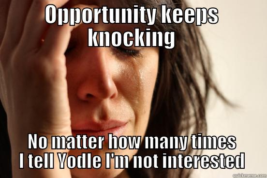 OPPORTUNITY KEEPS KNOCKING NO MATTER HOW MANY TIMES I TELL YODLE I'M NOT INTERESTED First World Problems