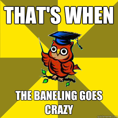 THAT'S WHEN THE BANELING GOES CRAZY - THAT'S WHEN THE BANELING GOES CRAZY  Observational Owl