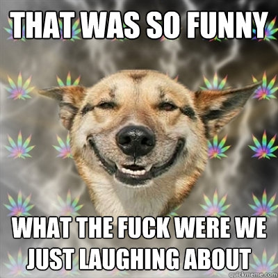 that was so funny what the fuck were we just laughing about  Stoner Dog