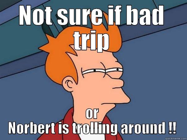 NOT SURE IF BAD TRIP OR NORBERT IS TROLLING AROUND !! Futurama Fry