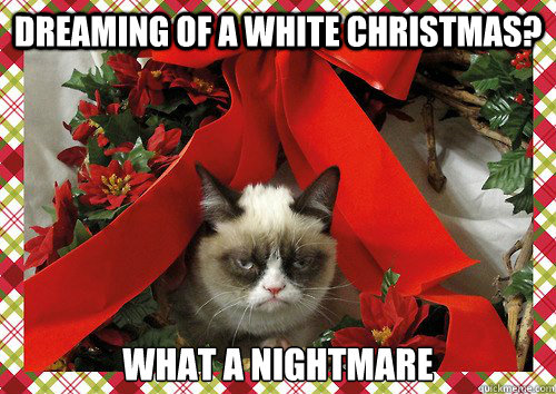 Dreaming of a white christmas? What a nightmare  A Grumpy Cat Christmas