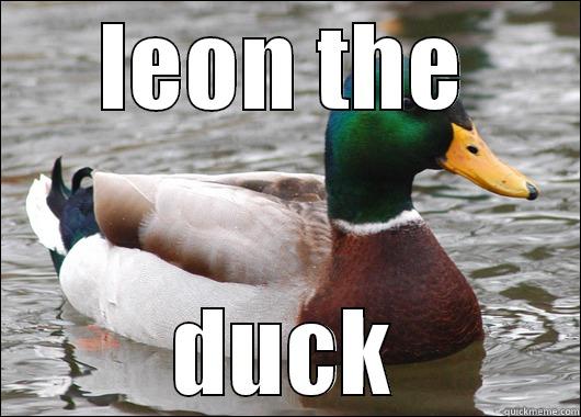 LEON THE DUCK Actual Advice Mallard