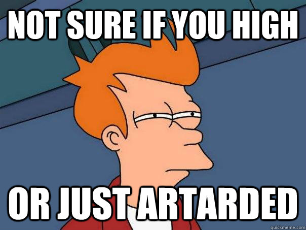 not sure if you high or just artarded - not sure if you high or just artarded  Futurama Fry