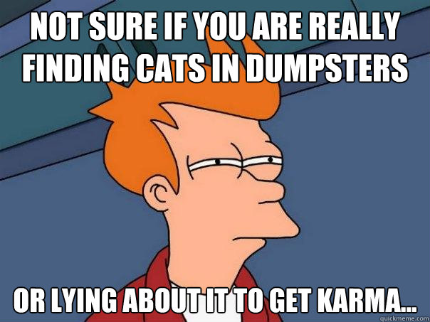 Not sure if you are really finding cats in dumpsters or lying about it to get karma... - Not sure if you are really finding cats in dumpsters or lying about it to get karma...  Futurama Fry