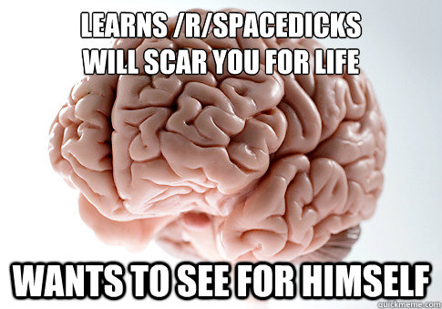 learns /r/spacedicks
will scar you for life wants to see for himself - learns /r/spacedicks
will scar you for life wants to see for himself  Scumbag Brain