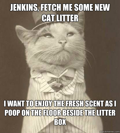 Jenkins, fetch me some new cat litter I want to enjoy the fresh scent as I poop on the floor beside the litter box  Aristocat