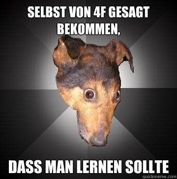 SELBST VON 4F GESAGT BEKOMMEN, DASS MAN LERNEN SOLLTE  Depression Dog