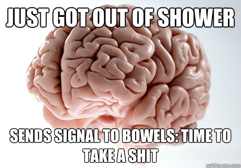 Just got out of shower Sends signal to bowels: Time to take a shit - Just got out of shower Sends signal to bowels: Time to take a shit  Scumbag Brain