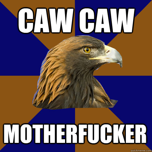 CAW CAW MOTHERFUCKER  Ravenclaw Eagle