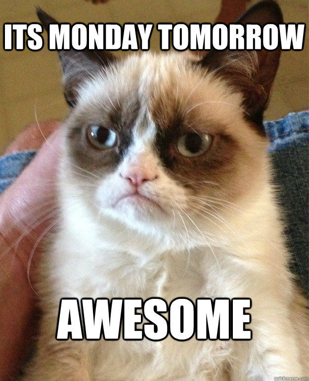 Its monday tomorrow awesome  Grumpy Cat