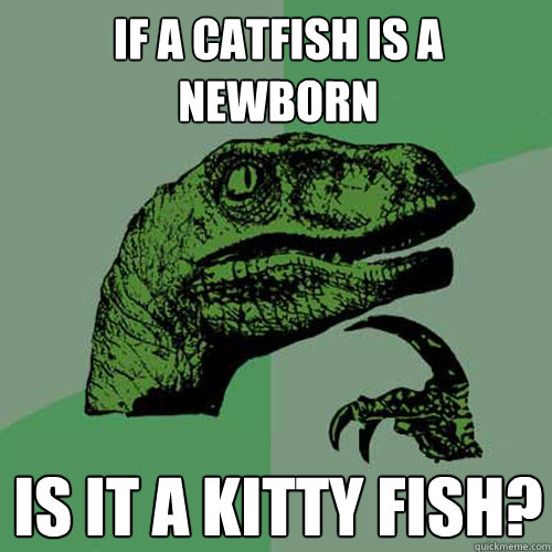 If a catfish is a newborn is it a kitty fish?  Philosoraptor