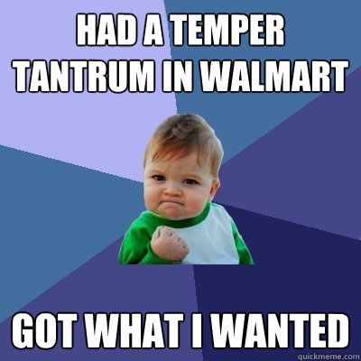 had a temper tantrum in Walmart Got what i wanted - had a temper tantrum in Walmart Got what i wanted  Success Kid