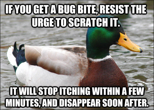 If you get a bug bite, resist the urge to scratch it. It will stop itching within a few minutes, and disappear soon after. - If you get a bug bite, resist the urge to scratch it. It will stop itching within a few minutes, and disappear soon after.  Actual Advice Mallard