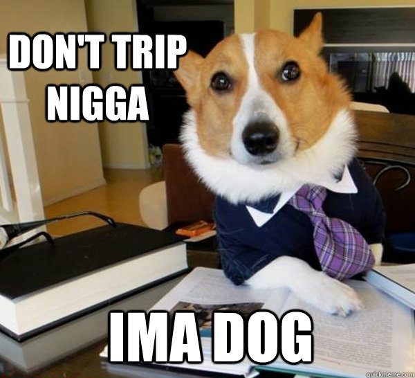 Don't trip nigga Ima Dog   Lawyer Dog