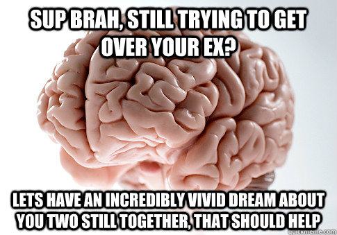 SUP BRAH, STILL TRYING TO GET OVER YOUR EX? LETS HAVE AN INCREDIBLY VIVID DREAM ABOUT YOU TWO STILL TOGETHER, THAT SHOULD HELP   Scumbag Brain