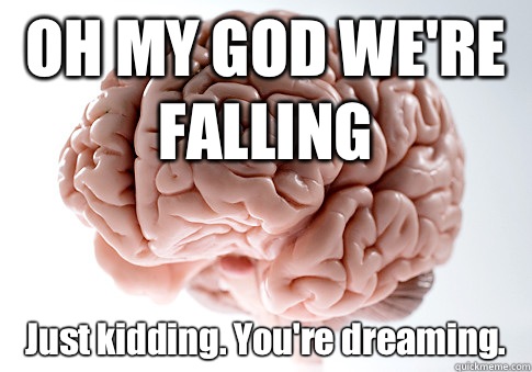 OH MY GOD WE'RE FALLING Just kidding. You're dreaming.  Scumbag Brain