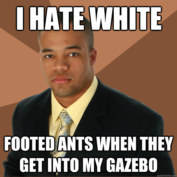 I hate white footed ants when they get into my gazebo - I hate white footed ants when they get into my gazebo  Successful Black Man