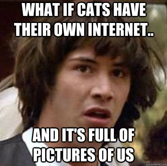 What if cats have their own internet.. And it's full of pictures of us  conspiracy keanu