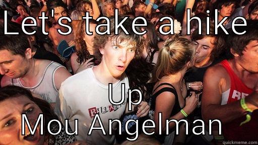 Awesome sauce  - LET'S TAKE A HIKE  UP MOU ANGELMAN  Sudden Clarity Clarence