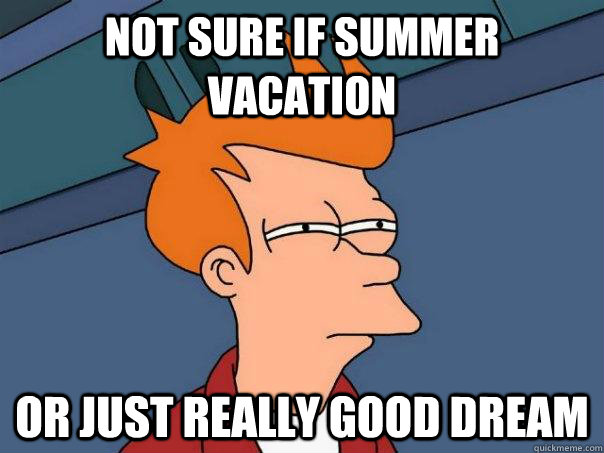 Not sure if summer vacation or just really good dream  Futurama Fry