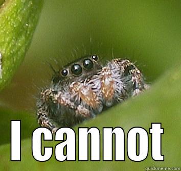  I CANNOT Misunderstood Spider