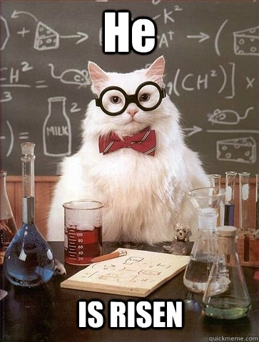 He IS RISEN  Chemistry Cat