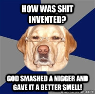 How was shit invented? God smashed a nigger and gave it a better smell!   Racist Dog