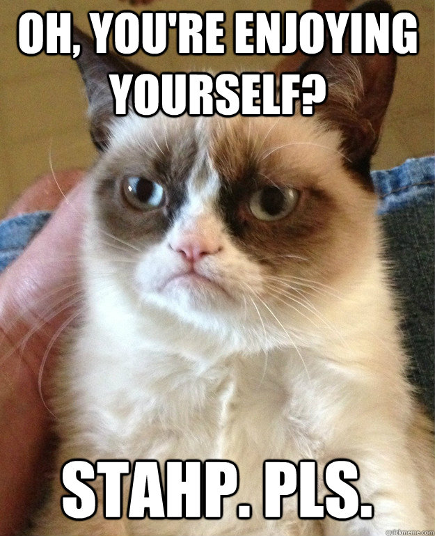 Oh, you're enjoying yourself? Stahp. Pls.  Grumpy Cat