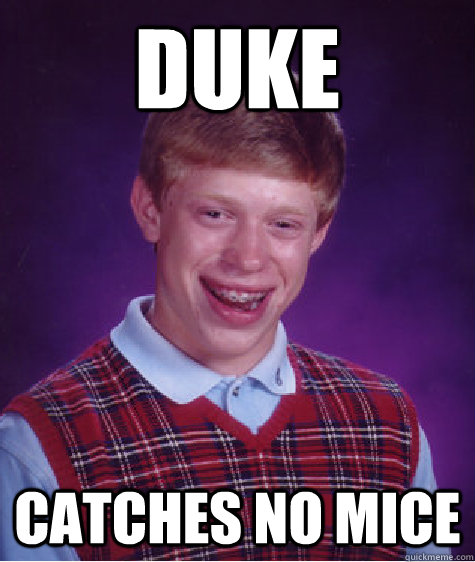 Duke catches no mice  Bad Luck Brian