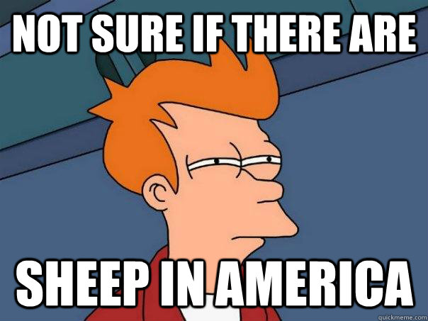 not sure if there are sheep in america  Futurama Fry