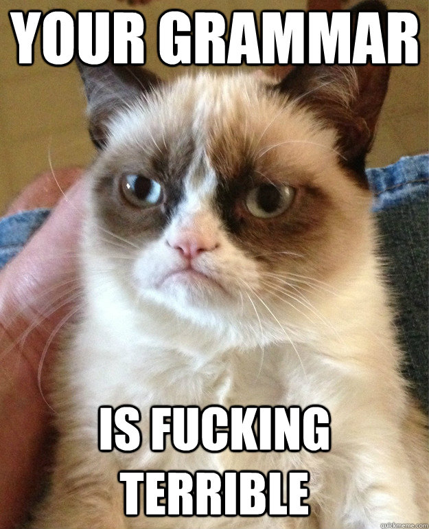 your grammar is fucking terrible  Grumpy Cat