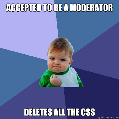 accepted to be a moderator deletes all the css  Success Kid