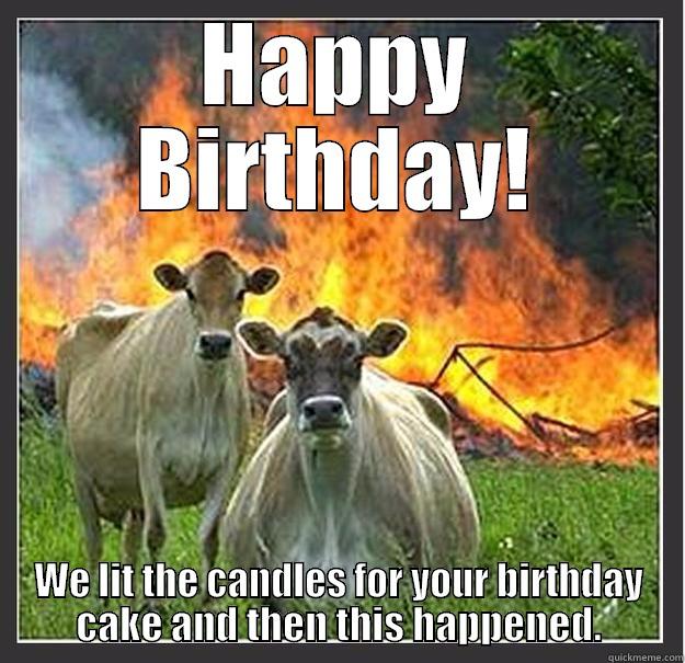 HAPPY BIRTHDAY! WE LIT THE CANDLES FOR YOUR BIRTHDAY CAKE AND THEN THIS HAPPENED. Evil cows