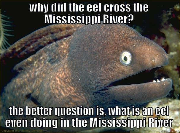 WHY DID THE EEL CROSS THE MISSISSIPPI RIVER? THE BETTER QUESTION IS, WHAT IS AN EEL EVEN DOING IN THE MISSISSIPPI RIVER Bad Joke Eel