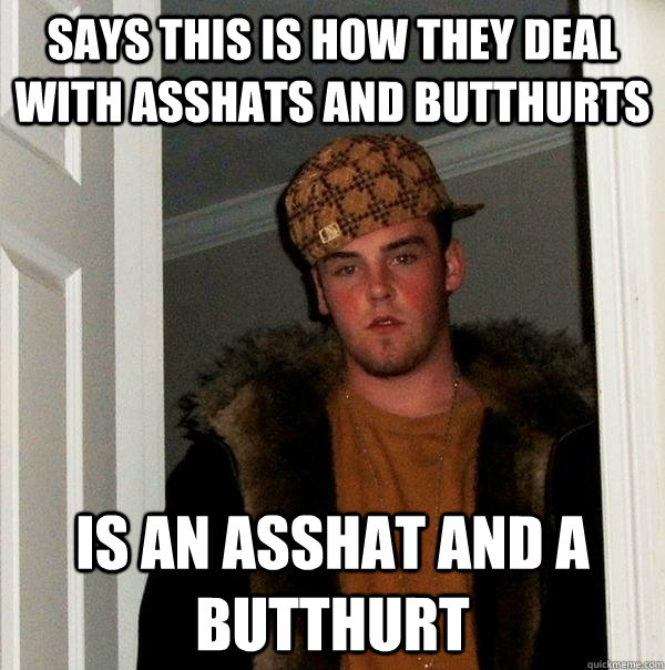 Says this is how they deal with asshats and butthurts Is an asshat and a butthurt  Scumbag Steve